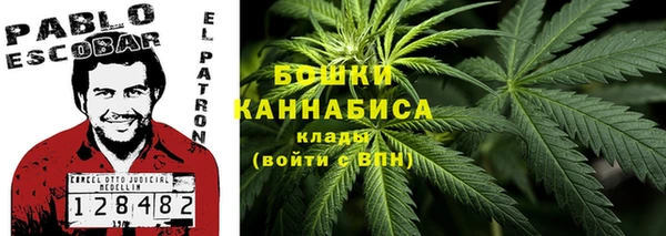 прущие крисы Баксан