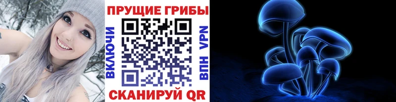 где купить наркоту  Баксан  Псилоцибиновые грибы Psilocybe 